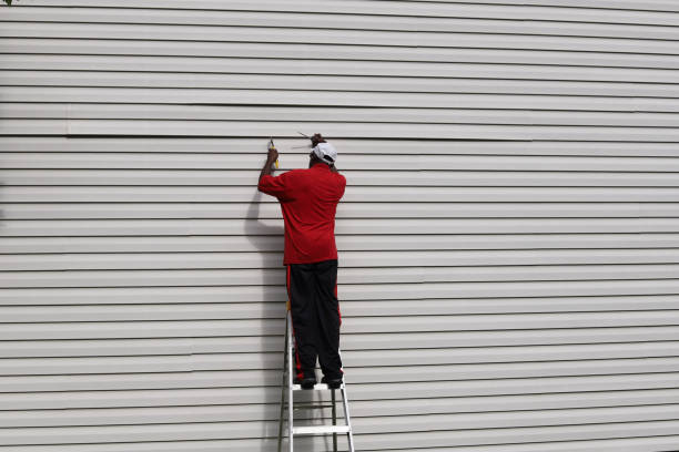 Best Brick Veneer Siding  in Corunna, MI