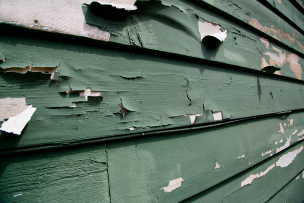 Best Residential Vinyl Siding Installation  in Corunna, MI